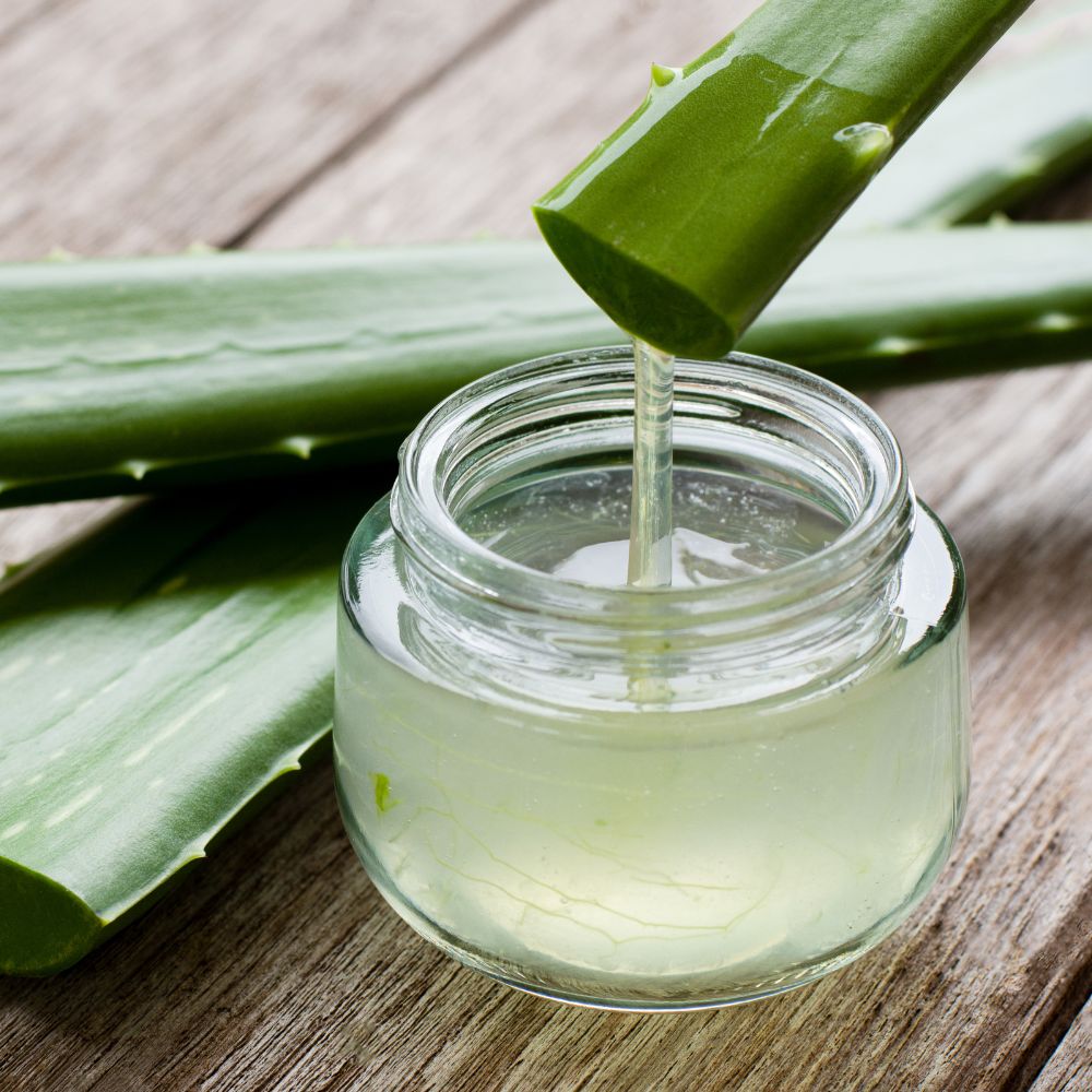 aloe vera